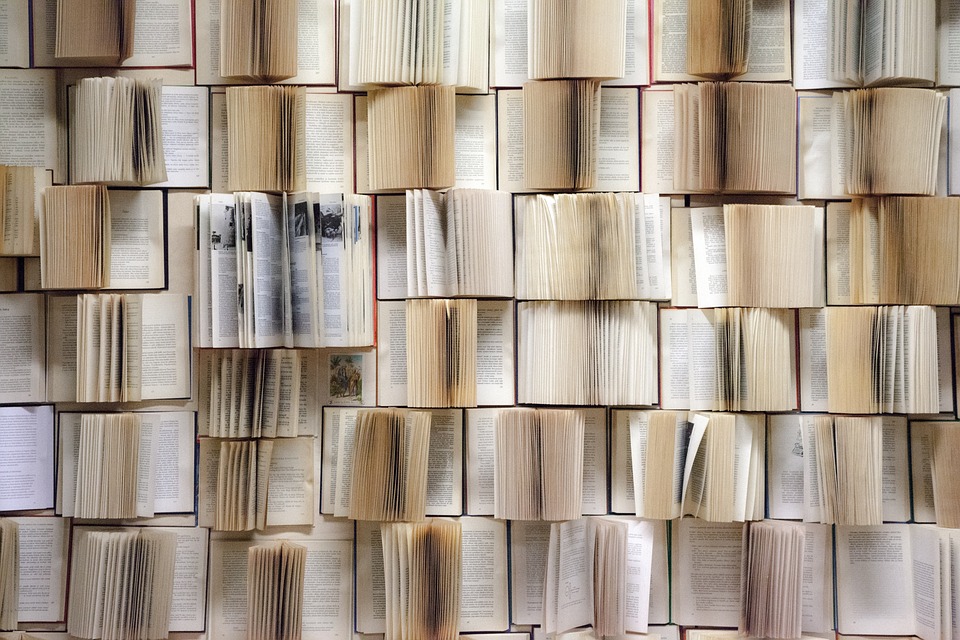 151405-pixabay-meiner-elibrary
