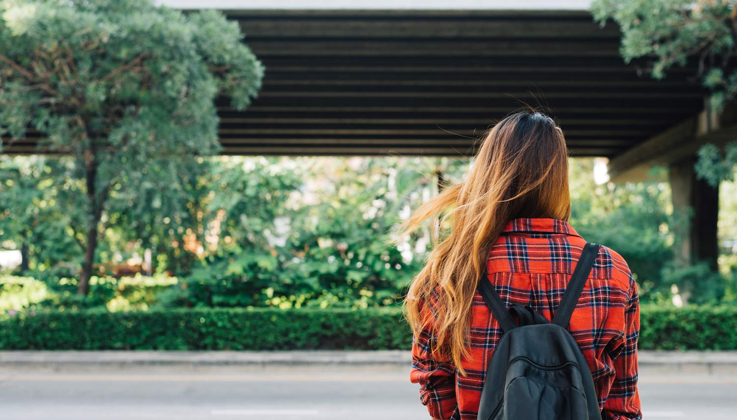 Back of a girl on campus